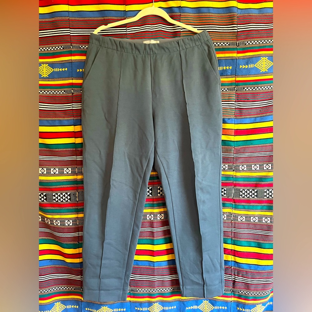 Everlane dream pant size 14